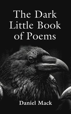 bokomslag The Dark Little Book of Poems