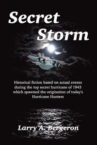 bokomslag Secret Storm