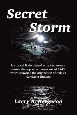bokomslag Secret Storm