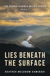 bokomslag Lies Beneath the Surface