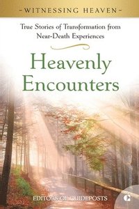 bokomslag Heavenly Encounters