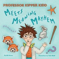 bokomslag Professor Kipper Kidd Meets Meaning Mayhem
