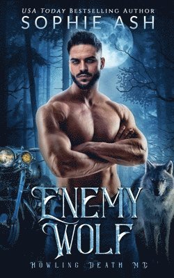 Enemy Wolf 1