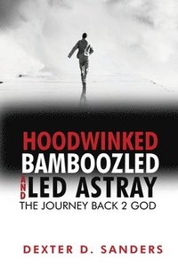 bokomslag Hoodwinked Bamboozled and Led Astray