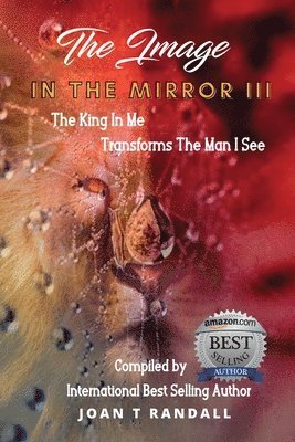 Image in the Mirror III