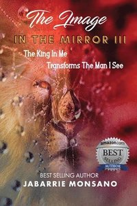 bokomslag Image in the Mirror III