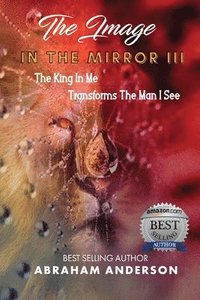 bokomslag Image in the Mirror III