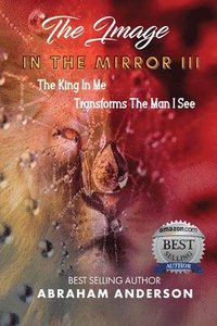 bokomslag The Image in the Mirror III