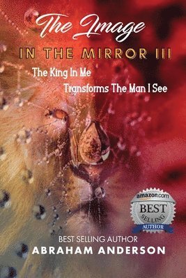 bokomslag Image in the Mirror III