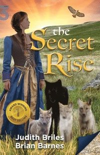 bokomslag Secret Rise