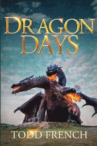 bokomslag Dragon Days