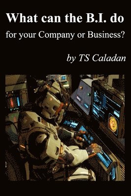 What can the B.I. do for your Company or Business 1