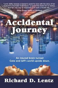 bokomslag Accidental Journey