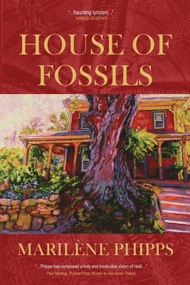 House of Fossils 1