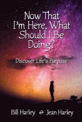 Now That I'm Here, What Should I Be Doing? Discover Life's Purpose 1