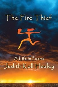 bokomslag The Fire Thief