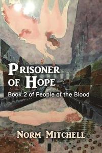 bokomslag Prisoner of Hope