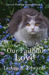 bokomslag Our Faithful Love