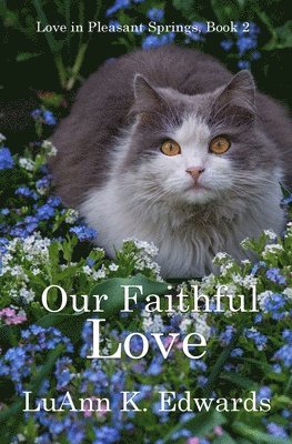 Our Faithful Love 1