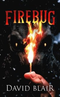 bokomslag Firebug