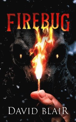 bokomslag Firebug