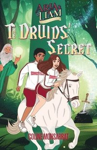 bokomslag Aria & Liam - The Druids' Secret