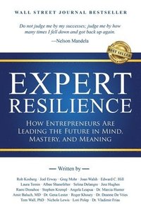bokomslag Expert Resilience