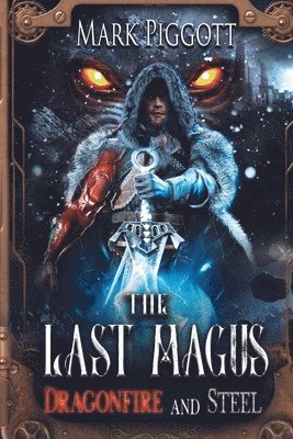 bokomslag The Last Magus