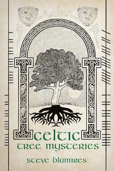 bokomslag Celtic Tree Mysteries