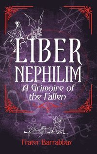 bokomslag Liber Nephilim