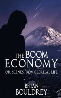 bokomslag The Boom Economy