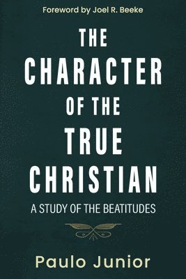bokomslag Character of the True Christian