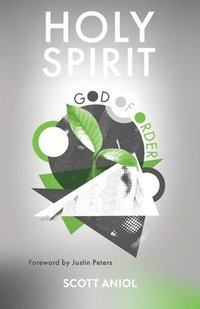 bokomslag Holy Spirit God of Order