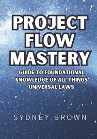 bokomslag Project Flow Mastery