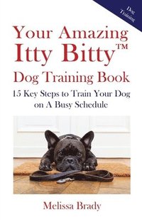 bokomslag Your Amazing Itty Bitty(TM) Dog Training Book