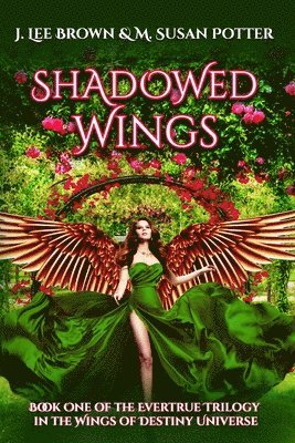 Shadowed Wings 1