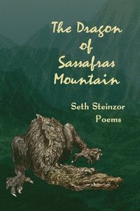 bokomslag The Dragon of Sassafras Mountain