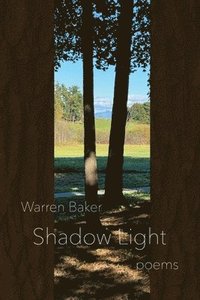 bokomslag Shadow Light