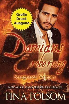 bokomslag Damians Eroberung (Groe Druckausgabe)