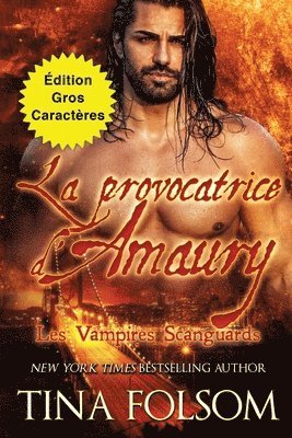 La provocatrice d'Amaury (dition Gros Caractres) 1