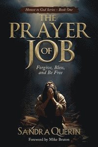 bokomslag The Prayer of JOB