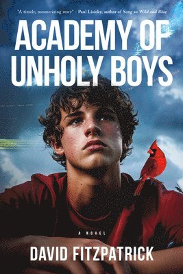 bokomslag Academy of Unholy Boys