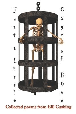 bokomslag Just a Little Cage of Bone
