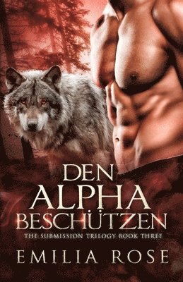 bokomslag Den Alpha beschu&#776;tzen