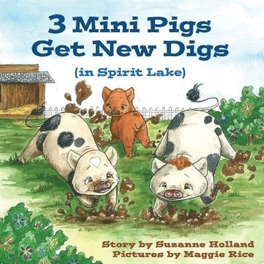 bokomslag 3 Mini Pigs Get New Digs In Spirit Lake