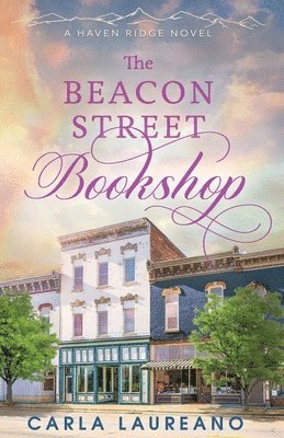 bokomslag The Beacon Street Bookshop