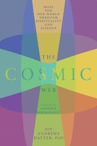 bokomslag Cosmic Web