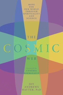 bokomslag The Cosmic Web
