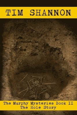bokomslag Hole Story