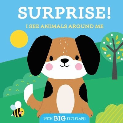 Little Genius Books - Surprise! I See Animals Around Me, Kartonnage